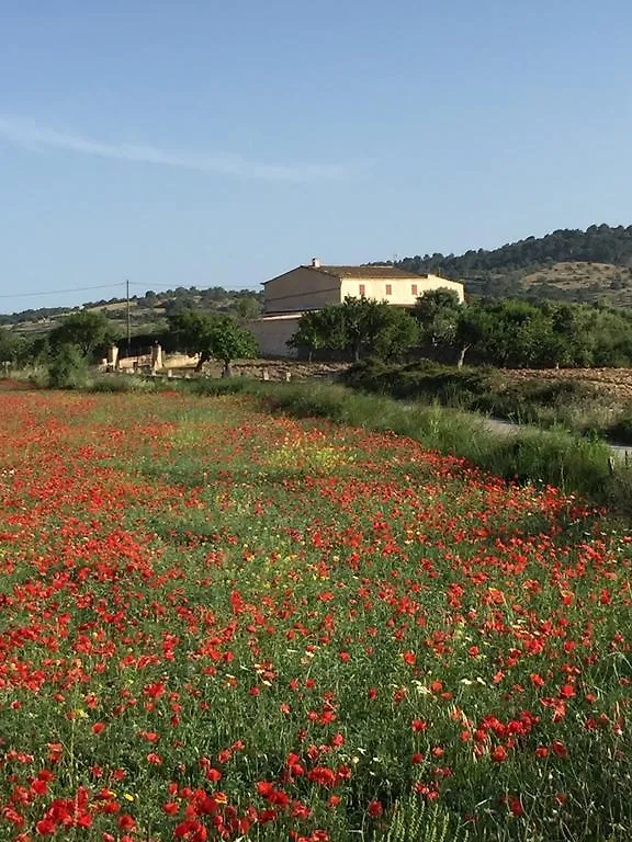 Cala Anguila Can Roqueta 빌라 펜션